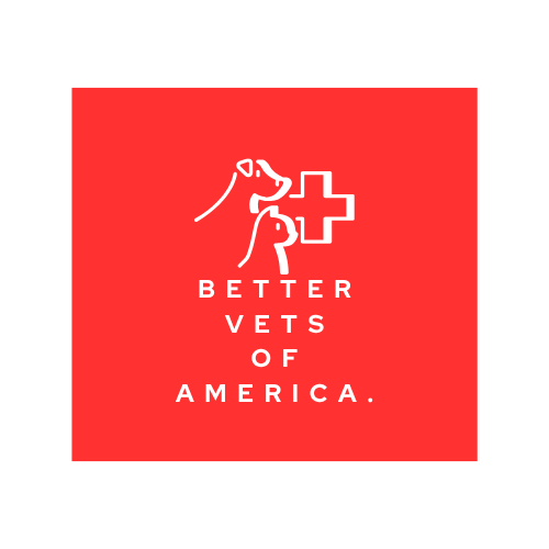 BETTER VETS OF AMERICA